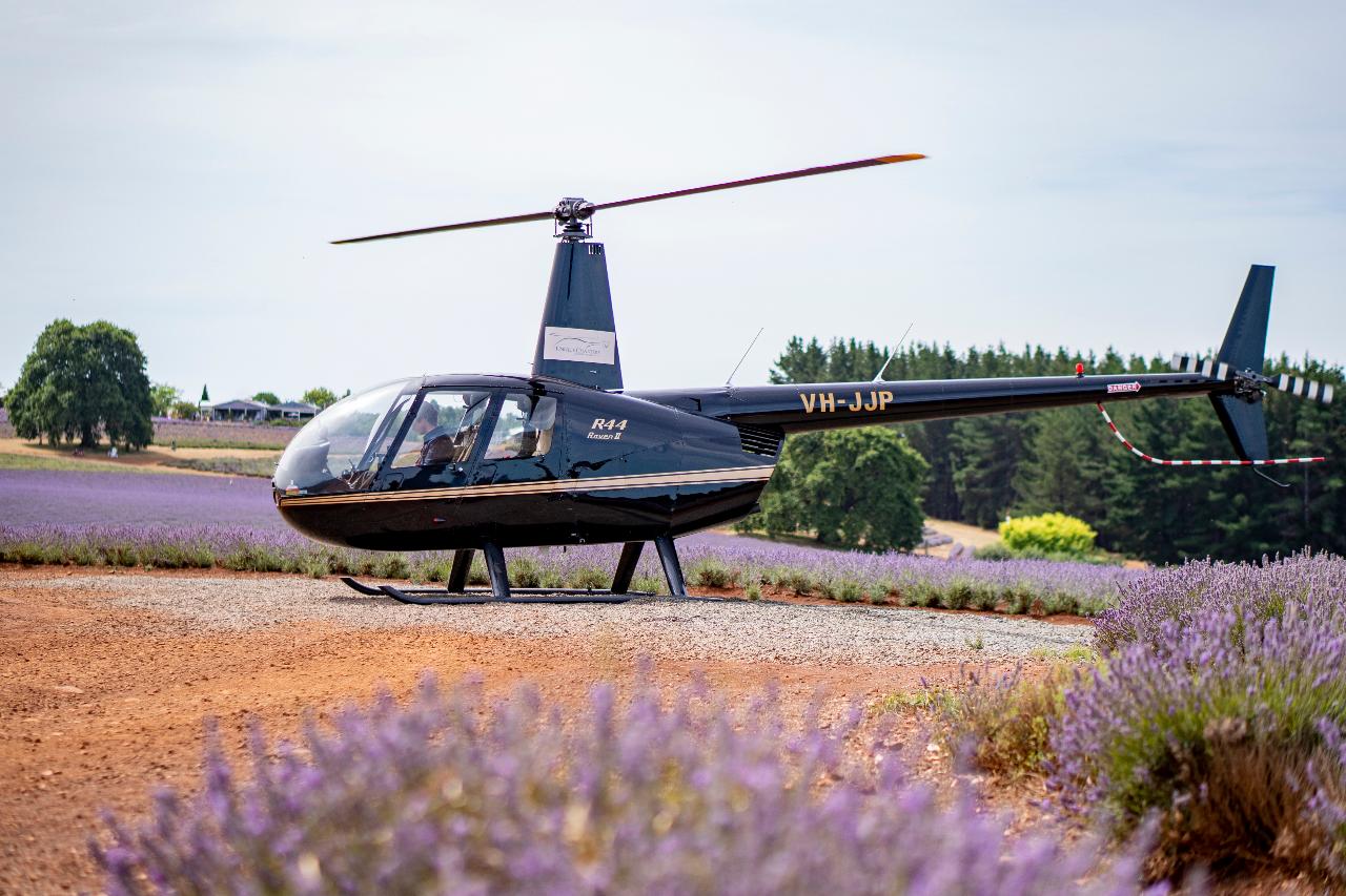 Bridestowe Lavender Farm Tour: A Lavender Wonderland from Above