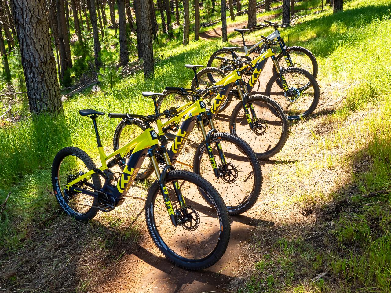 Nannup Guided Ebike HIRE