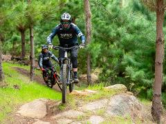 Nannup 'eBIKES & BEERS' Small Group Tour