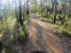 Margs Local Trail Gems 3 Hour MTB Small Group Tour