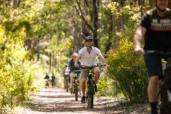 WADANDI TRACK - Guided E-Bike Tour | Margaret River