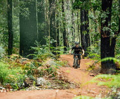 TAILOR MADE Private eBike Adventure Tours