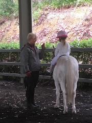 1 hr Equine Assisted Learning With Naara Foots