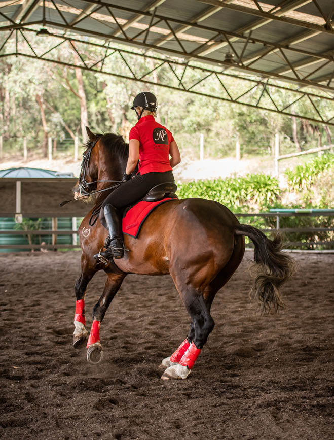 Build Your Own Horse Riding Holiday