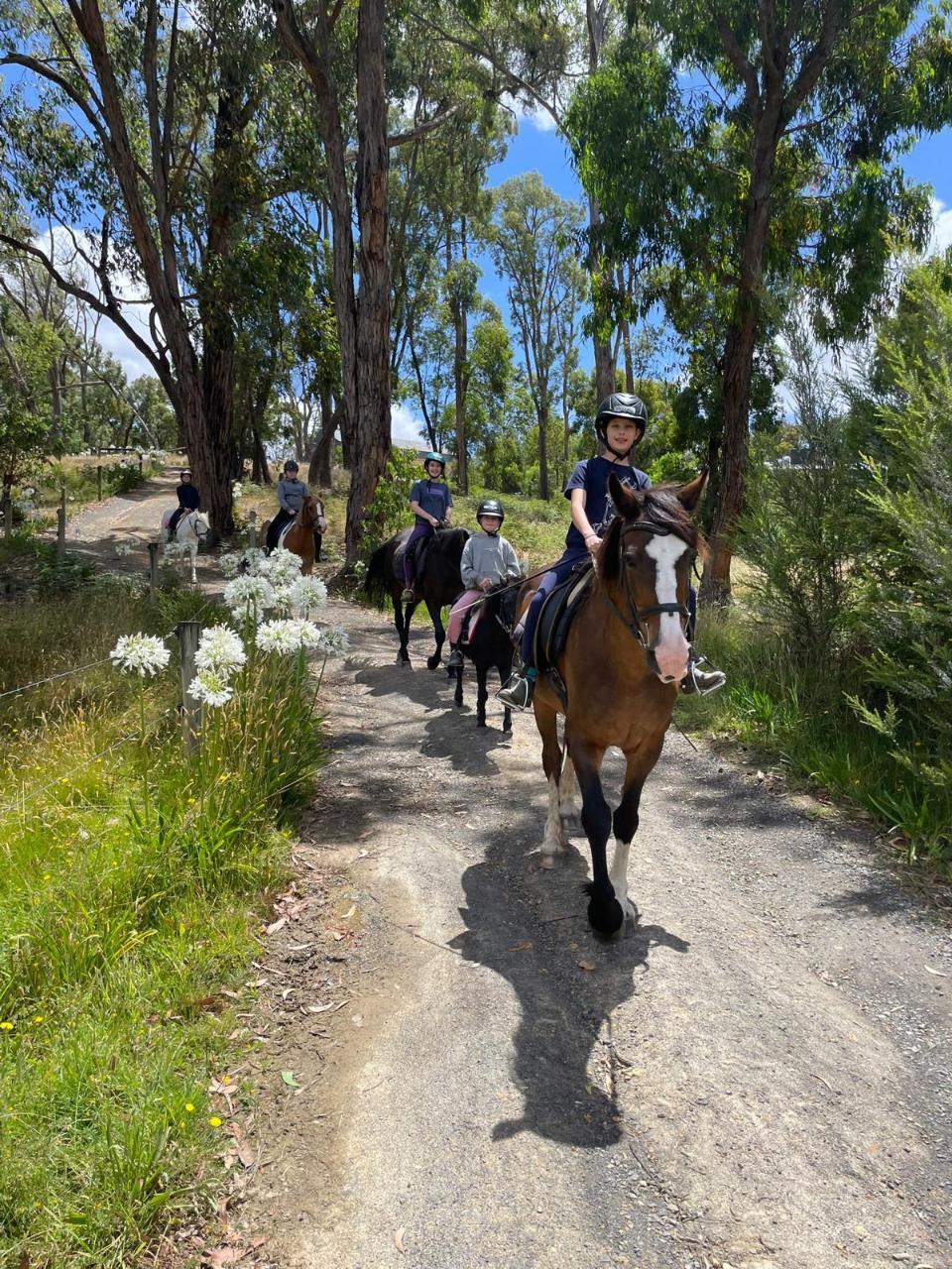 Trail Ride (Walk Only)