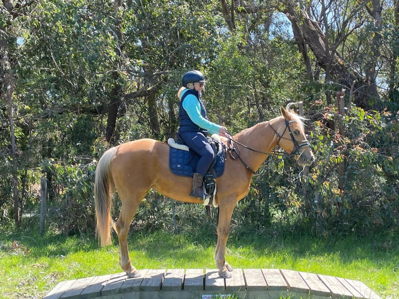 Non-Horse Owners - Avoca Trails!