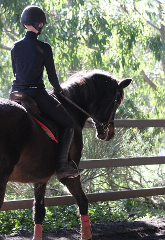 Term of Riding Lessons with EA Coach (Intro Level)