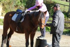 FLEXI PLAN-  Multiple Casual Riding Lessons with EA Coach (Intro Level)