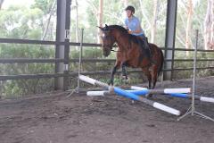 Horse Owner's- School Holiday Fun Day!