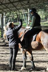 Riding Lessons with Leanne Williams (Level 3 EA Coach)