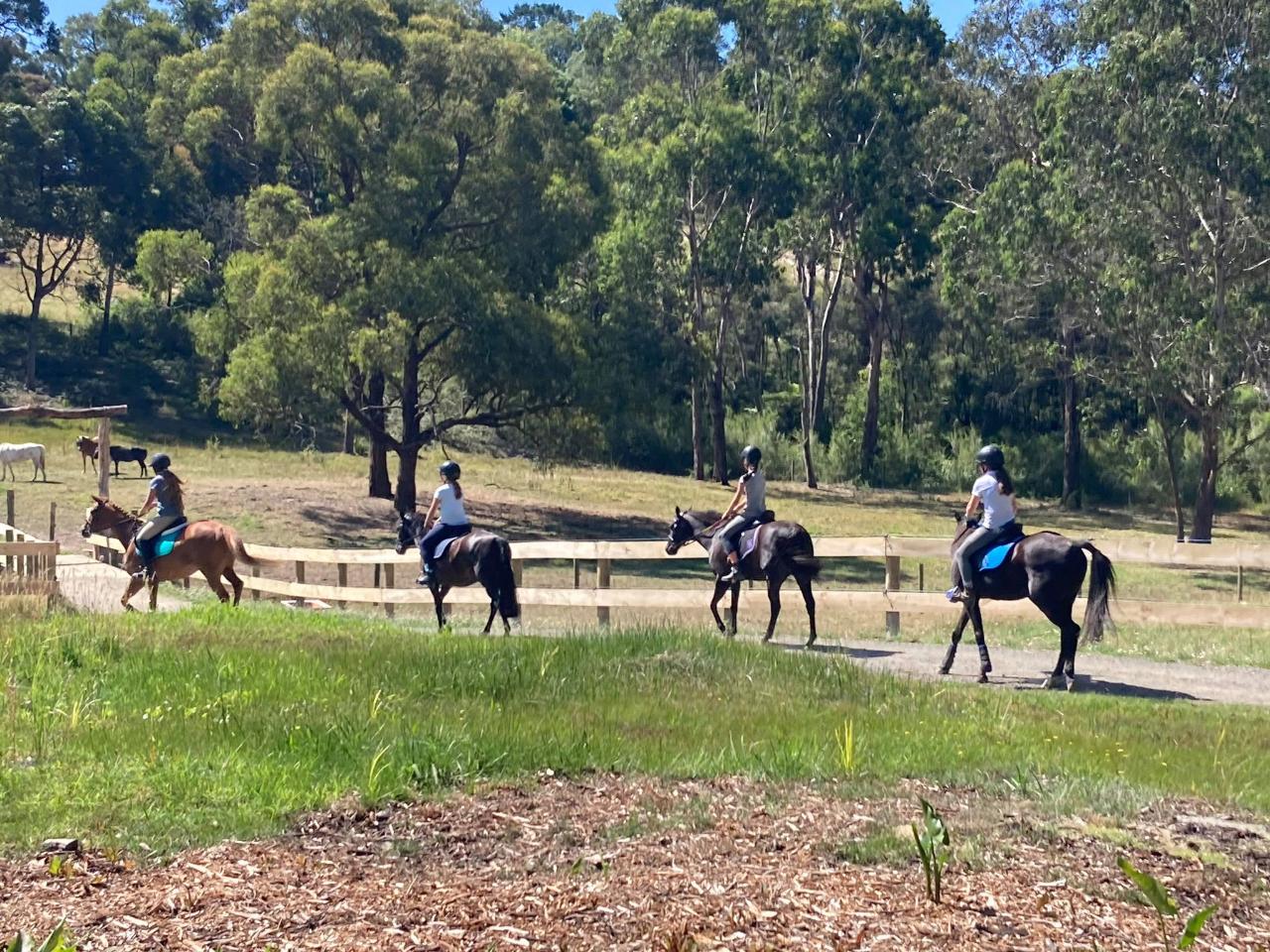 3 Day Horse Camp for both Horse owners and Non-horse owners!