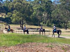 3 Day Horse Camp for both Horse owners and Non-horse owners!