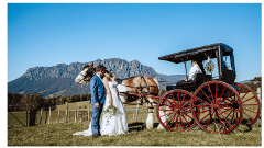 Horse Drawn Carriage Wedding Package