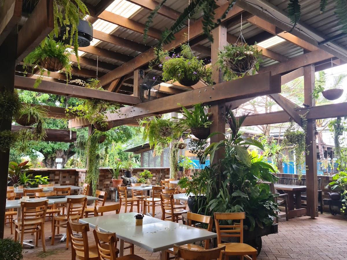 Beautiful Bowen Tour (min 2 people)