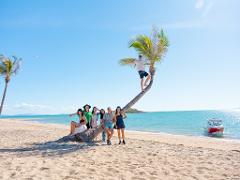 Cape Gloucester Escape – Coastal Bars, Beaches & Whitsunday Views