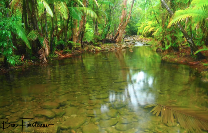 Waterfalls & Wildlife