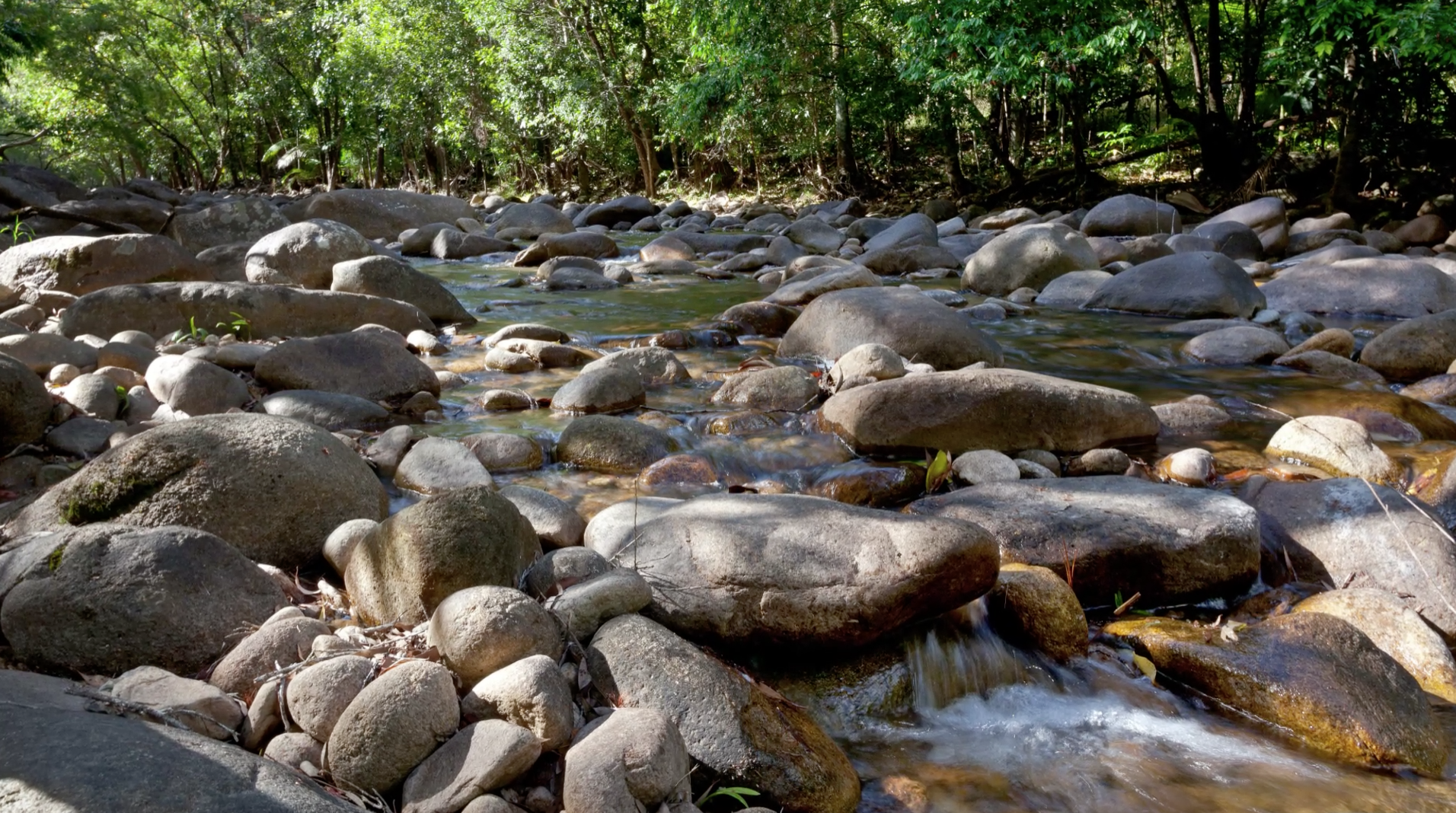 Waterfalls & Wildlife