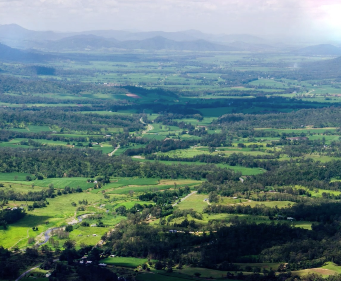 Eungella Wild Platypus Encounter