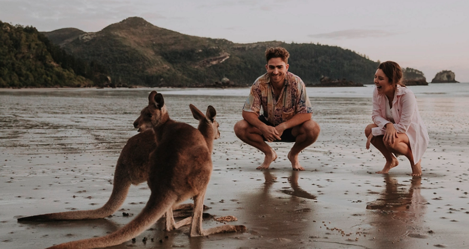 Kangaroos on the Beach Tour