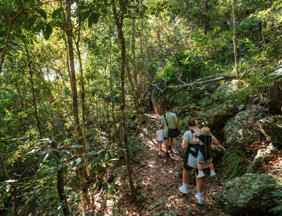 Kangaroos on the Beach Tour