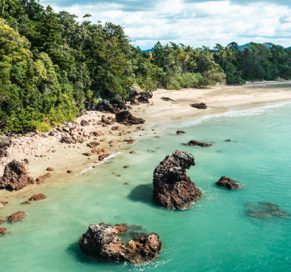Kangaroos on the Beach Tour