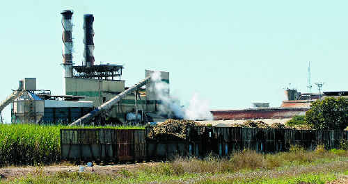 The Best Of Mackay (min 3 people)