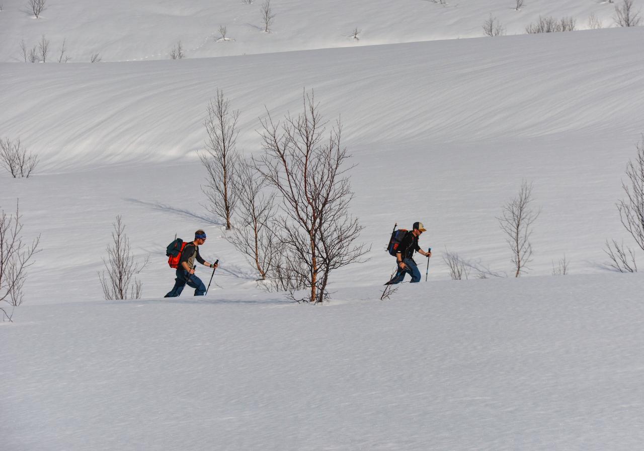 Full day Ski Touring