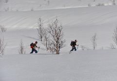 Full day Ski Touring