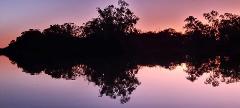 Balonne River Cruise