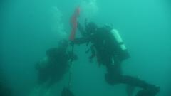 Double Dive on the Cochrane Artificial Reef