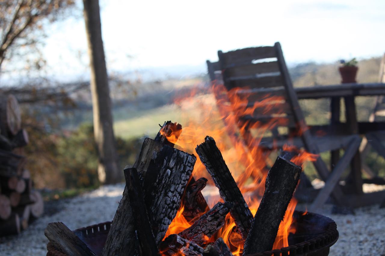 Fireside Picnic