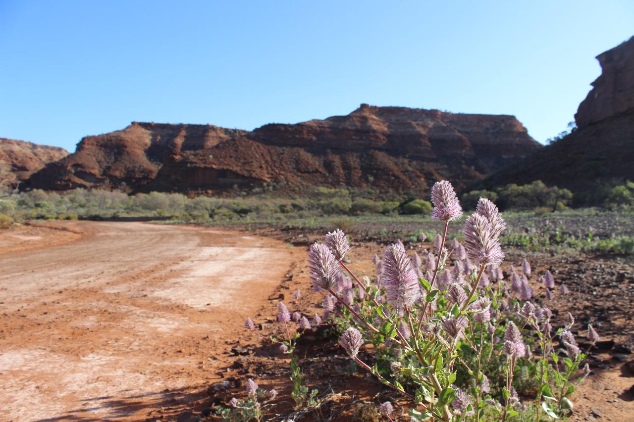 Kennedy Ranges Loop Track  (2 Days/1 Night)