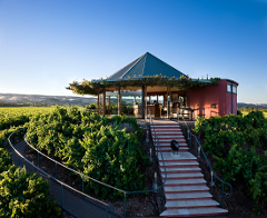 Private Wine Tours - McLaren Vale