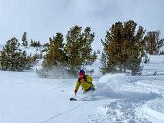 Private Day Snowcat Skiing