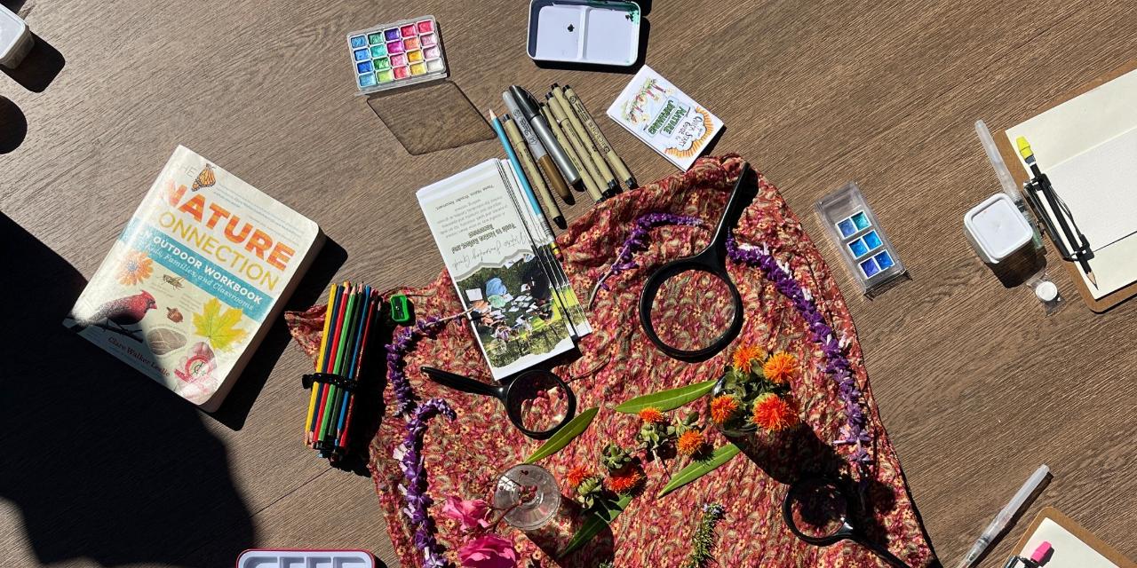 Nature Journaling (Guided)