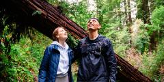 Unplug & Reconnect: A Weekend Wellness Retreat at Chaminade Resort & Spa