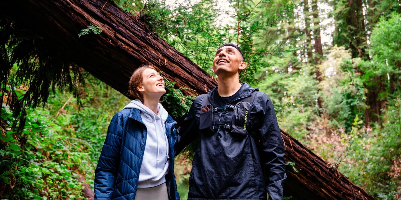 Guided Forest Therapy Walk