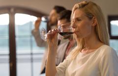 Adelaide Hills Large Group Bus Tour - Wine Tastings - 16th November