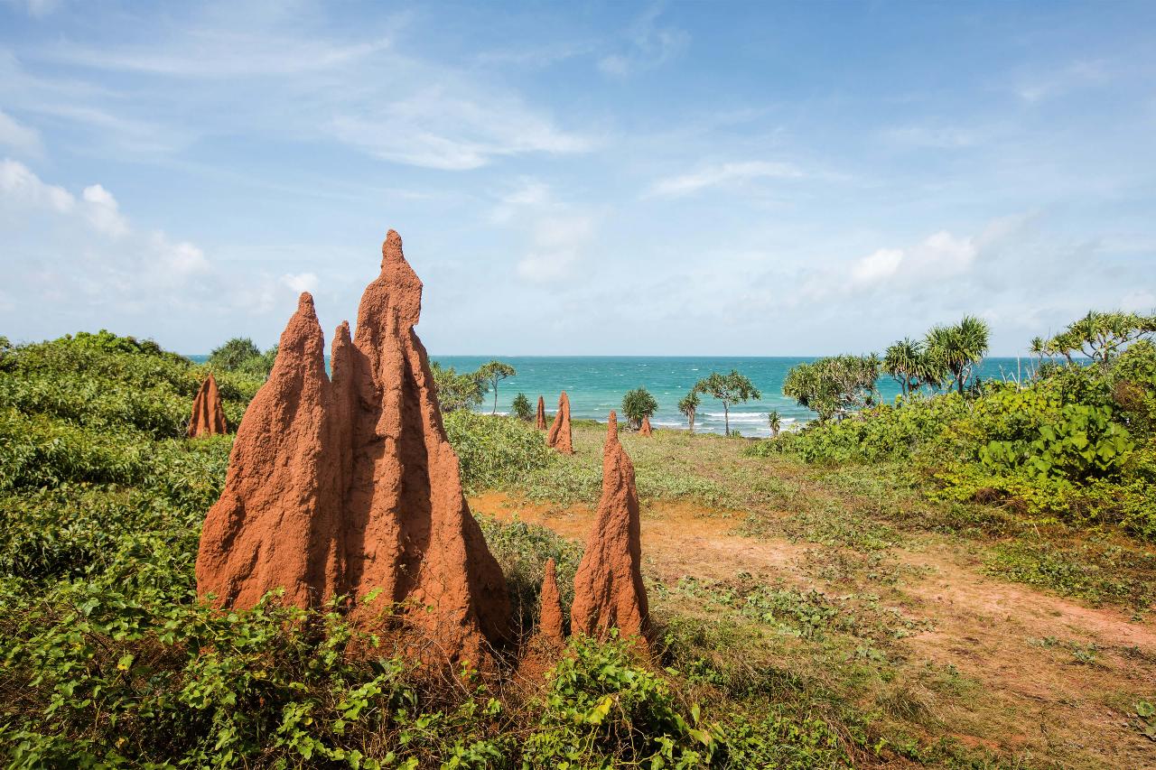 Cape York 14 Day Tour