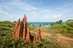 Cape York 14 Day Tour