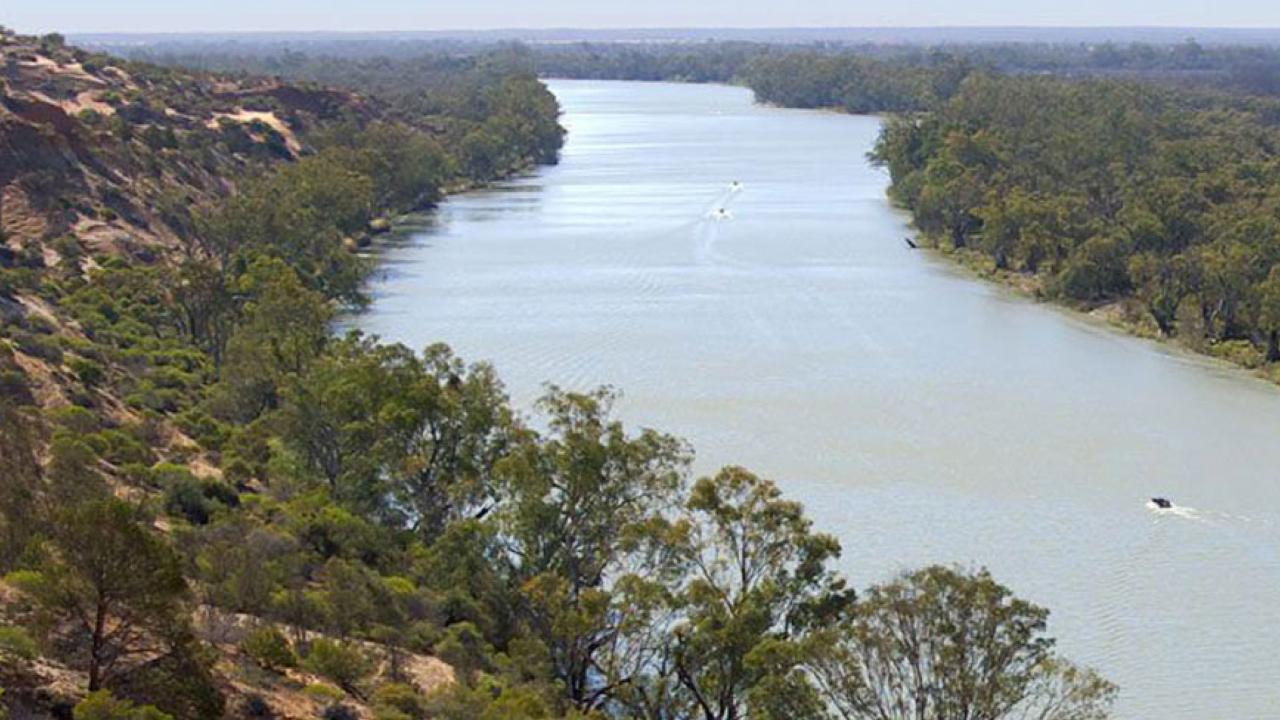 Murray River Tour