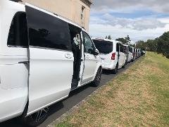 Auckland / Hamilton Private Shuttle Transfers - 6 Pax Business Van class 