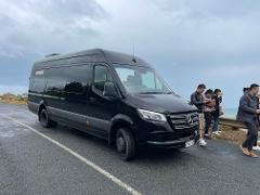 Day Hire - A Luxury 12 Seaters Mercedes Sprinter with Driver in Auckland - Max 11 Pax