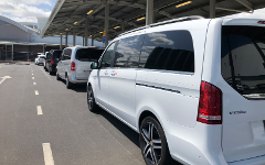 Auckland / Rotorua Transfers - Business Class 6 pax Van 