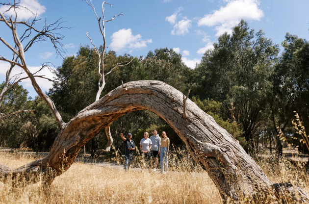 Minlagawi Mayi Walk - Walking Tour and Bush Foods Lunch