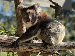 WA Wildlife Excursions