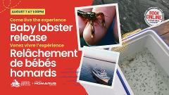 Homarus Baby Lobster Release 