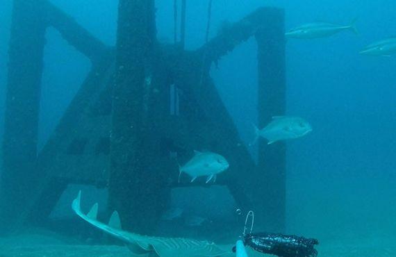 Double Boat Artificial Reef+ The Arch