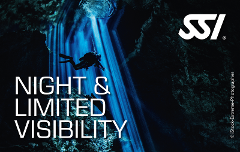  SSI Night Limited Vis Diver