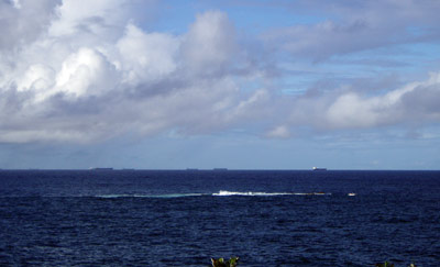 The Bull Reef Norah Head